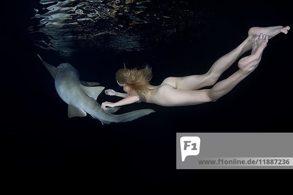Акулы 3: Мегалодон – секс сцены