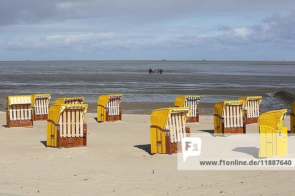 Beach chairs on sandy beach  at back mudflat strollers  Cuxhaven  North Sea  Lower Saxony  Germany  Europe