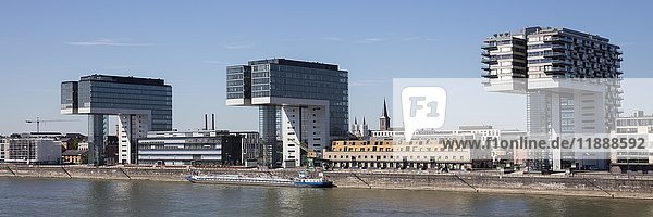 Kranhäuser am Rhein  Rheinauhafen  Köln  Nordrhein-Westfalen  Deutschland  Europa