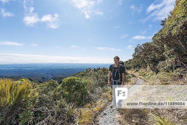 Hiker on hiking trail  Pouakai Circuit  Egmont National Park  Taranaki  North Island  New Zealand  Oceania
