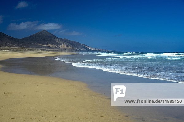 Sandy beach  Playa de Cofete  Fuerteventura  Canary Islands  Spain  Europe