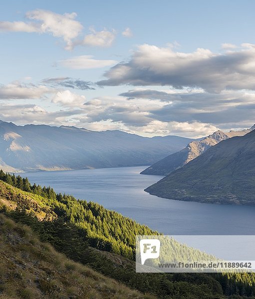 View of Lake Wakatipu  Forest and Mountains  Ben Lomond  Otago  South Island  New Zealand  Oceania