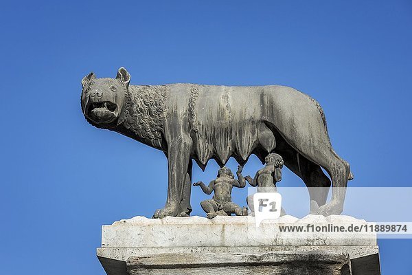 The Capitoline Wolf  statue of the she-wolf suckling Romulus and Remus  Piazza del Campidoglio  Rome  Italy  Europe