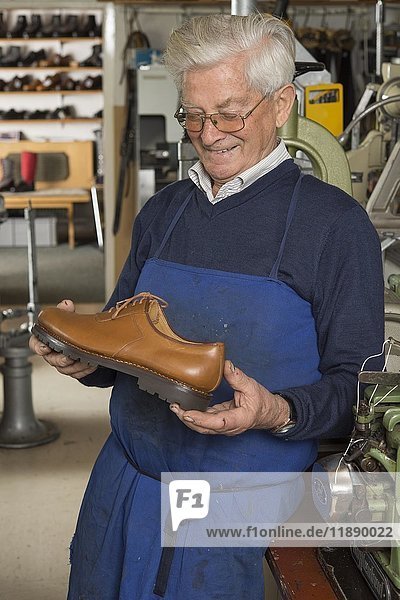 Schuhmacher  Mann mit fertigem Schuh in der Hand  in der hinteren Werkstatt  Kainisch  Steiermark  Österreich  Europa