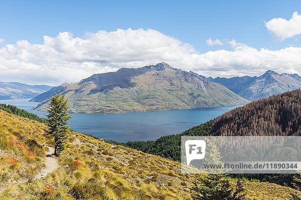 View of Lake Wakatipu  hiking trail to Ben Lomond  Otago  South Island  New Zealand  Oceania