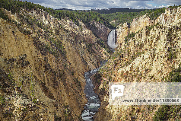 USA  Wyoming  Yellowstone Nationalpark  Grand Canyon mit den Lower Yellowstone Falls