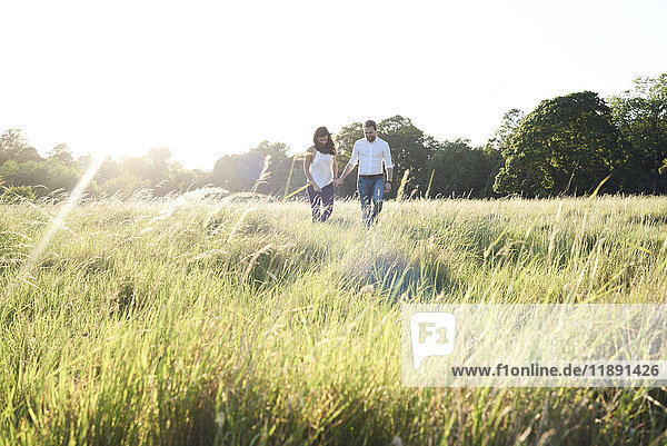 Couple in love walking hand in hand on a meadow at sunset