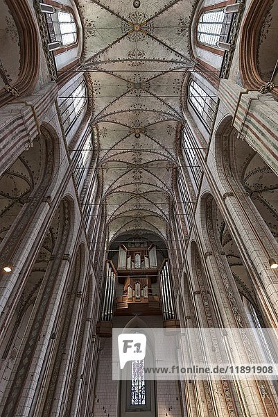 Deckengewölbe mit Orgelempore  St. Marienkirche  Lübeck  Schleswig-Holstein  Deutschland  Europa