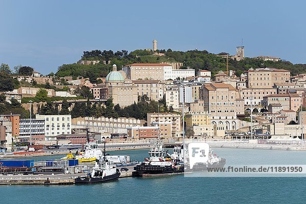 Hafen  Ancona  Region Marken  Italien  Europa