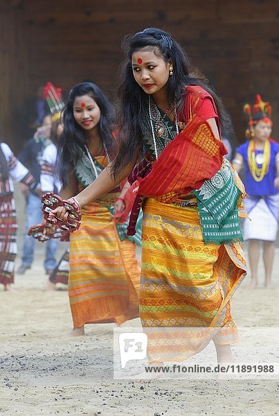 Tribal ritual dance at the Hornbill Festival  Kohima  Nagaland  India  Asia