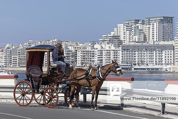 Horse carriage in front of Panorama of Sliema  Valletta  Malta  Europe