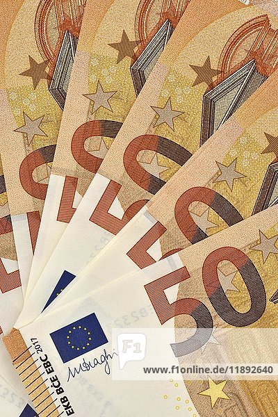 Fan mit 50-Euro-Banknoten  April 2017  Vorderseite