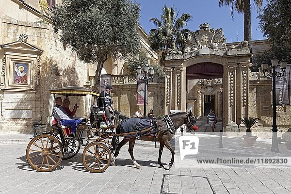 Pferdekutsche vor dem Palazzo Vilhena  Naturhistorisches Museum  Mdina  Malta  Europa