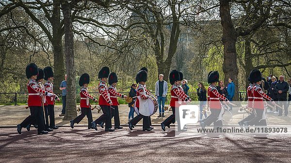 Gardisten der Queen's Guard  Royal Guards in roter Uniform auf dem Weg zum Buckingham Palace  Wachablösung  Westminster  London  England  Vereinigtes Königreich  Europa