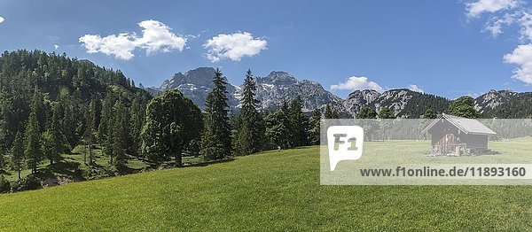 Panorama der Rohnalm  Rohntal  Karwendel  Tirol  Österreich  Europa