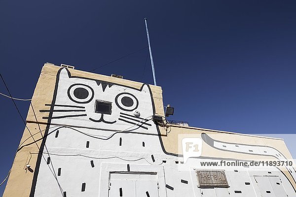 Cat  painted on house wall  graffiti  St. Elmo Bay  Valletta  Malta  Europe
