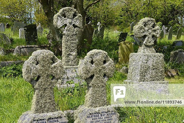 Steinkreuze mit Flechten  Friedhof in Landewednack  Lizard  Lizard-Halbinsel  Cornwall  England  Vereinigtes Königreich  Europa