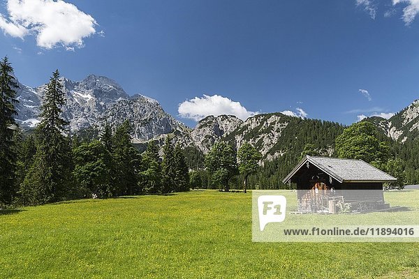 Almhütte auf der Rohnalm  Rohntal  Karwendel  Tirol  Österreich  Europa