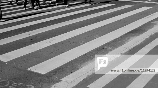 Fußgänger beim Überqueren der Straße auf dem Zebrastreifen  Ansicht von der Hüfte abwärts