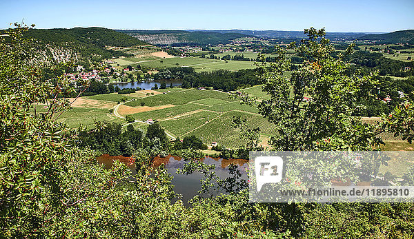 Europa  Frankreich  Okzitanien  Lot  Blick vom Crayssac-Gebiet  Fluss Lot und Weinberg von Cahors