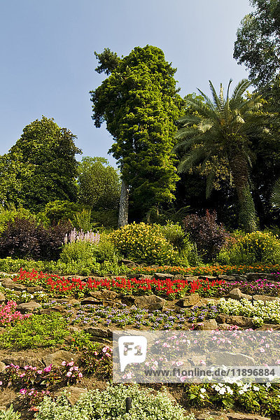 Garten  Villa Carlotta  Tremezzo  Comer See  Italien