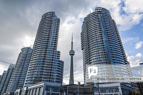 CN Tower hinter Hochhäusern  Stadtzentrum  Toronto  Ontario  Kanada  Nordamerika