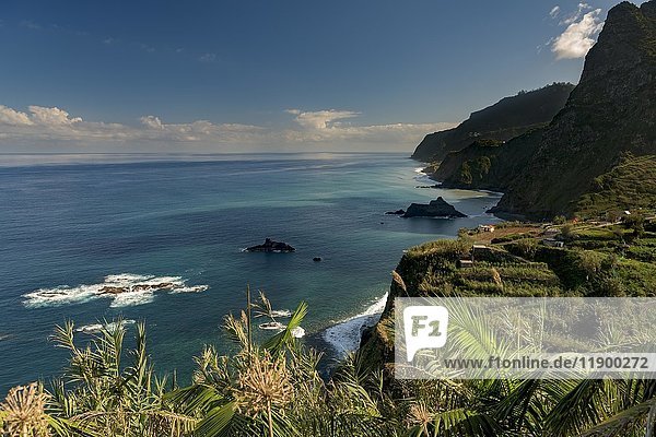 Steile Klippen mit Meer  Porto Moniz  Madeira  Portugal  Europa
