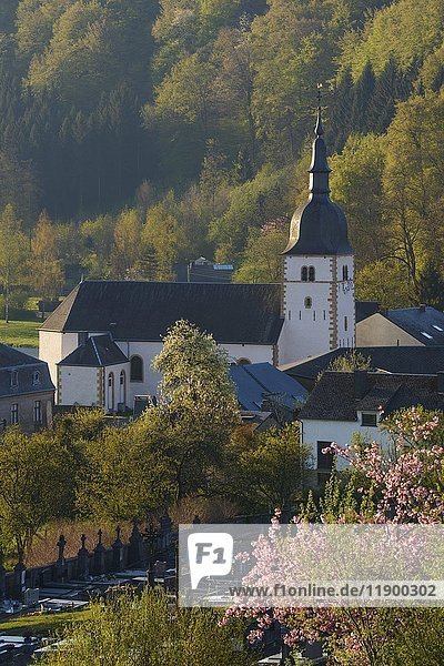 Kirche Saint-Martin  Chassepierre  Morgenlicht  Ardennen  Wallonien  Belgien  Europa