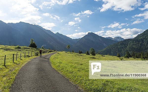Weg mit Blick auf die Allgäuer Alpen  Bad Hindelang  Allgäu  Bayern  Deutschland  Europa