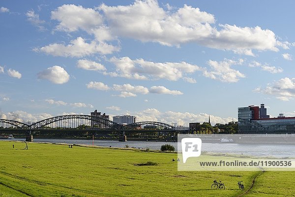Poller Wiesen vor der Rhein- und Südbrücke  Köln  Nordrhein-Westfalen  Deutschland  Europa