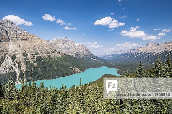 Peyto Lake  Banff National Park  Kanadische Rocky Mountains  Alberta  Kanada  Nordamerika