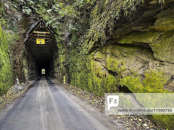 Tunnel  Forgotten World Highway  Region Taranaki  Nordinsel  Neuseeland  Ozeanien
