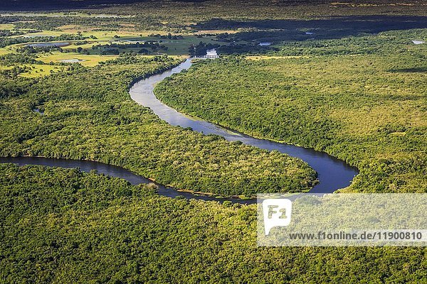 Rio Negro fließt durch Dschungel  Pantanal  Mato Grosso do Sul  Brasilien  Südamerika