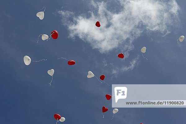 Bei einer Hochzeit steigen Luftballons in Form eines Herzens in den Himmel