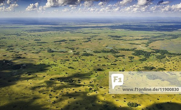 Natürliche Weiden  Südliches Pantanal  Mato Grosso do Sul  Brasilien  Südamerika