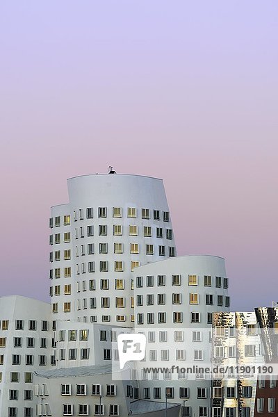 Gehry-Gebäude im Medienhafen  Neuer Zollhof  Düsseldorf  Nordrhein-Westfalen  Deutschland  Europa