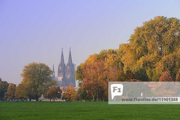 Rheinpark im Herbst vor dem Kölner Dom  UNESCO-Welterbe  Nordrhein-Westfalen  Deutschland  Europa