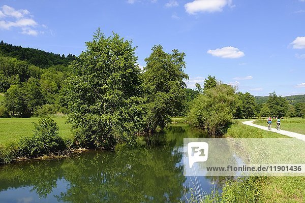 Fluss Pegnitz bei Vorra  Pegnitztal  Hersbrucker Alb  Mittelfranken  Franken  Bayern  Deutschland  Europa