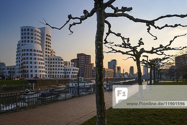 Neuer Zollhof  Gehry-Gebäude am Medienhafen  Düsseldorf  Nordrhein-Westfalen  Deutschland  Europa