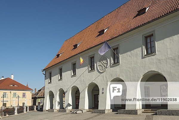 Haus der Kunst  Zunfthaus der Metzger  Sibiu  Rumänien  Europa