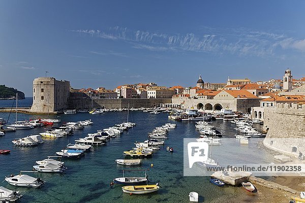 Port of Old Town of Dubrovnik  southern Dalmatia  Dalmatia  Adriatic coast  Croatia  Europe