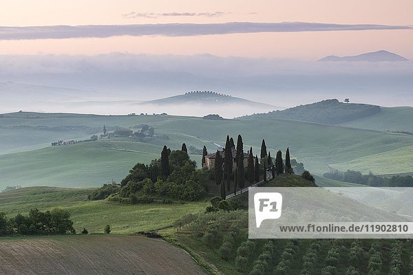 Podere Belvedere  single homestead  morning atmosphere with fog  San Quirico d'Orcia  Val d'Orcia  Tuscany  Italy  Europe