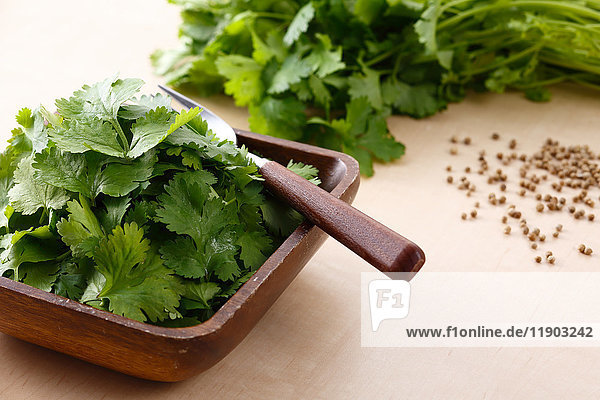 Coriander