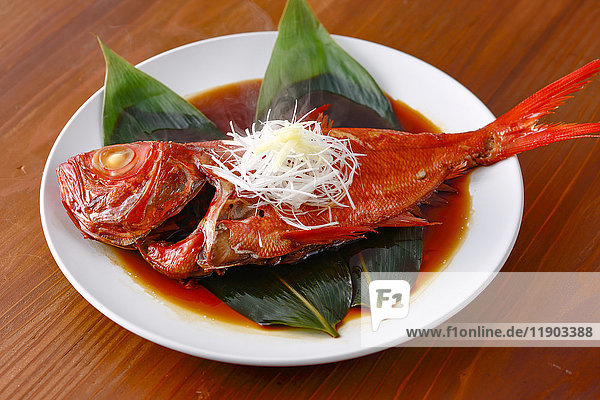 Red Snapper