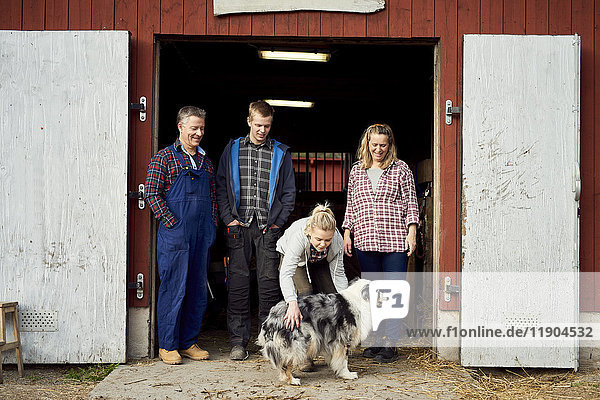 Familie beim Streicheln des Australian Shepherd  während sie am Eingang der Scheune steht.