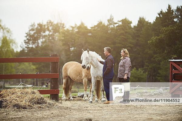 Side view of farmer stroking horse while standing by woman on field