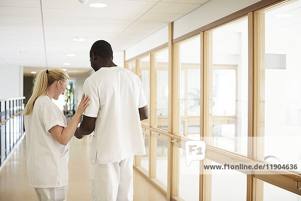Male and female nurse standing at hospital corridor