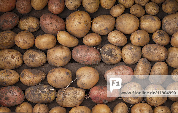 Kartoffeln im Karton