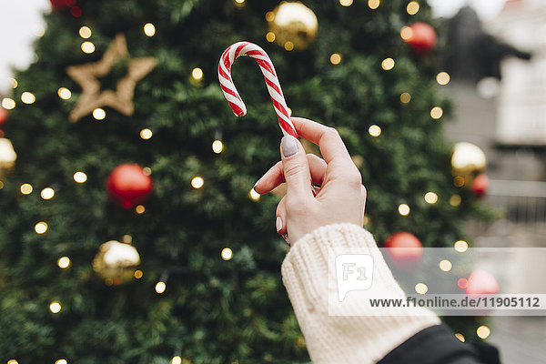 Hand einer kaukasischen Frau  die eine Zuckerstange in der Nähe des Weihnachtsbaums hält