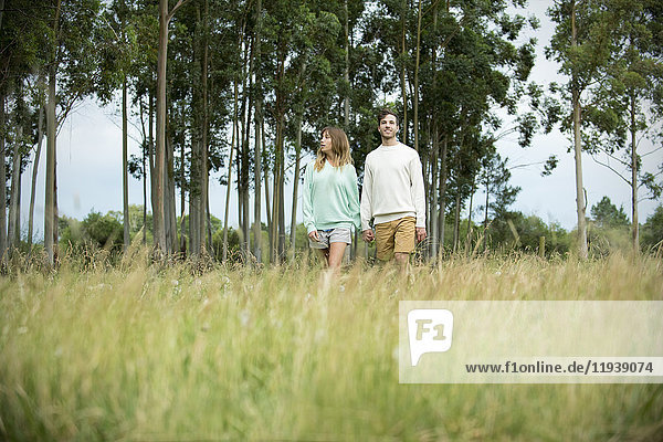 Ein Paar geht gemeinsam durch hohes Gras.